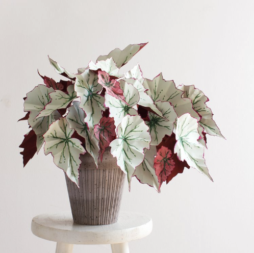 Corrie Beth, Handmade Houseplants