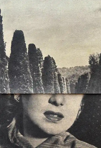 Cypress, Michelle Thompson