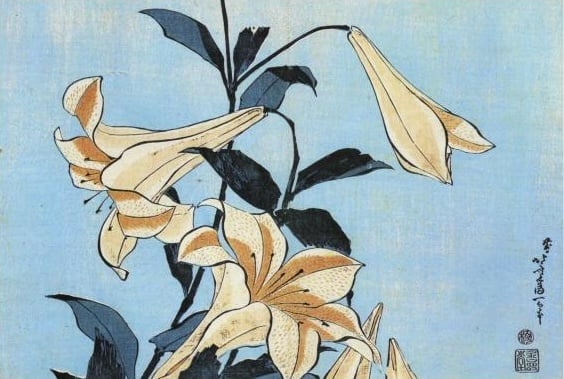 Hokusai, Lilies