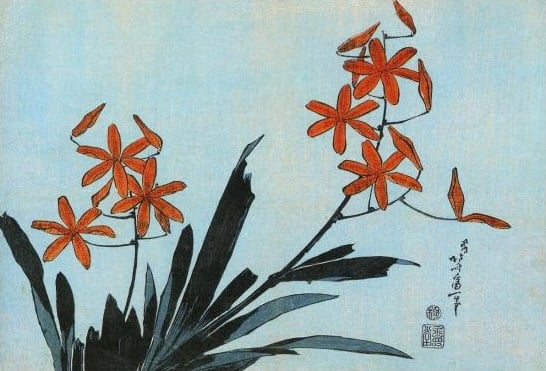 Hokusai, Orange Orchids