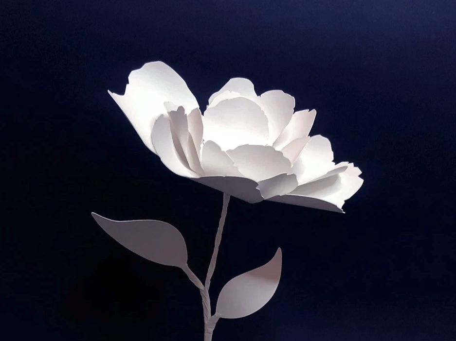 Marine Le Carrer, Dior