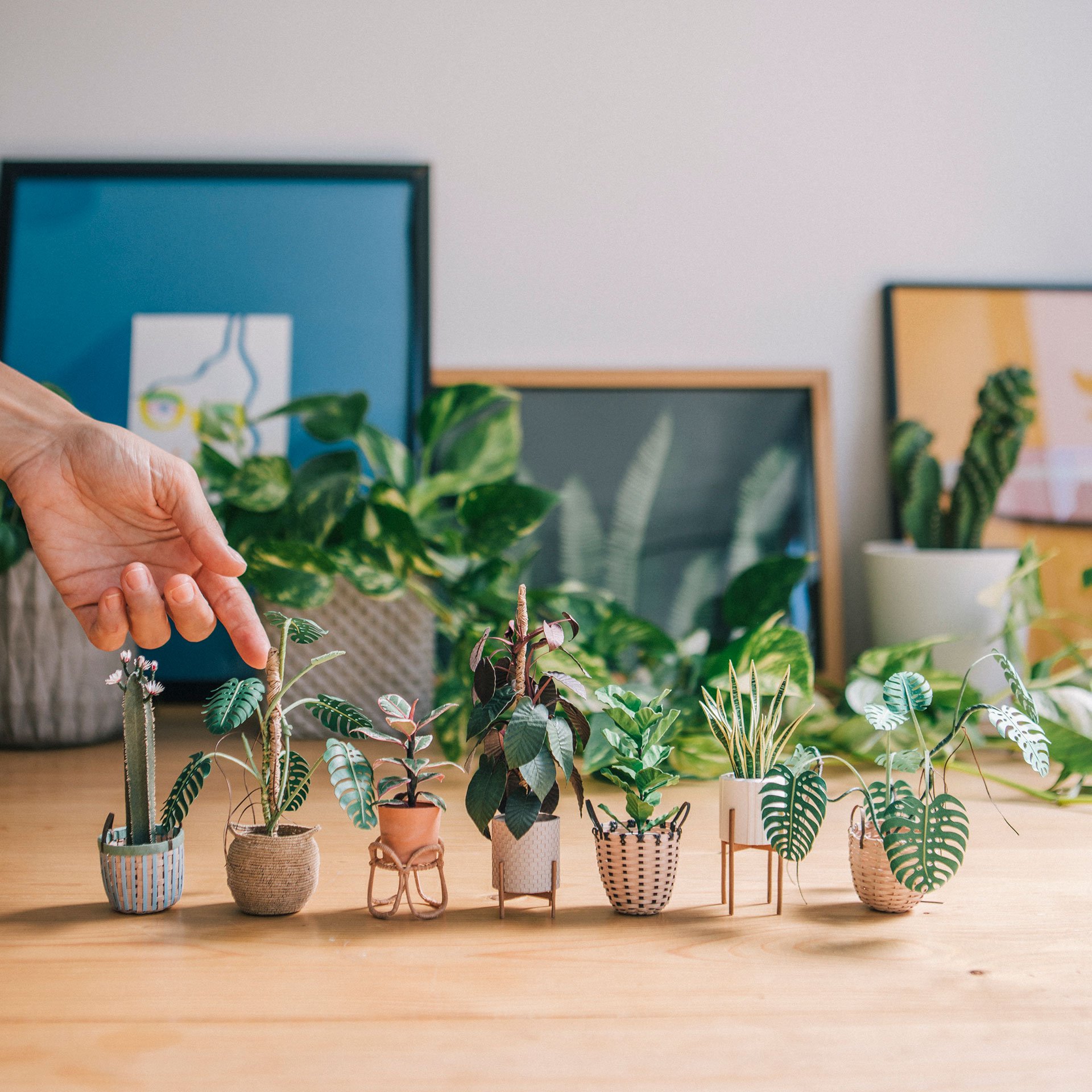 Raya Sader Bujana, Tiny Big House Plants