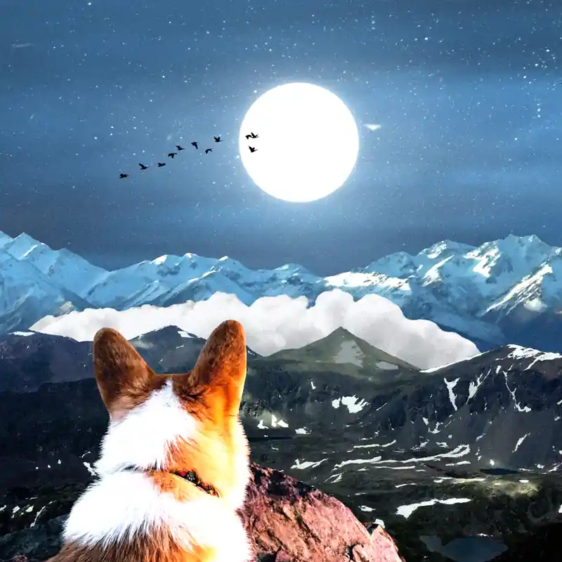 TeflonMusk-MoonwardBound