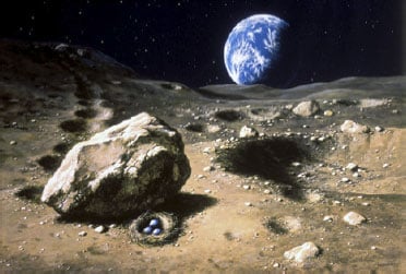 Luděk Pešek - The Nest