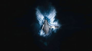 angel wings